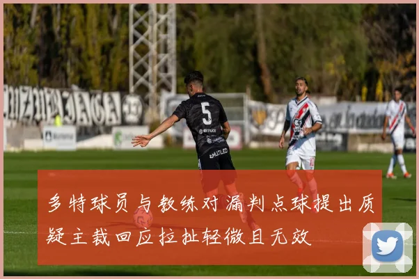 多特球员与教练对漏判点球提出质疑主裁回应拉扯轻微且无效