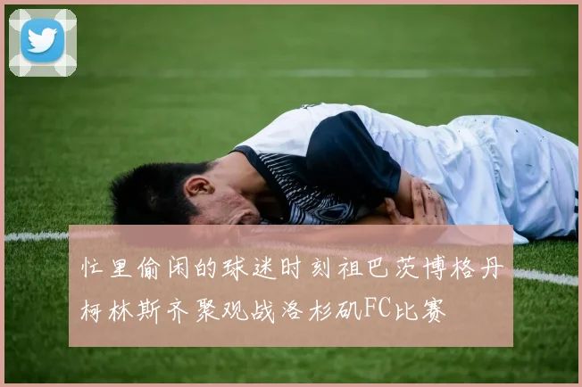 忙里偷闲的球迷时刻祖巴茨博格丹柯林斯齐聚观战洛杉矶FC比赛