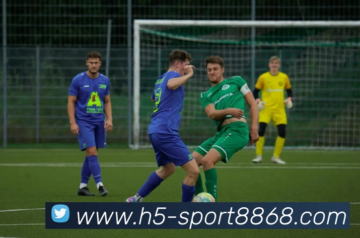 多媒体互动体验